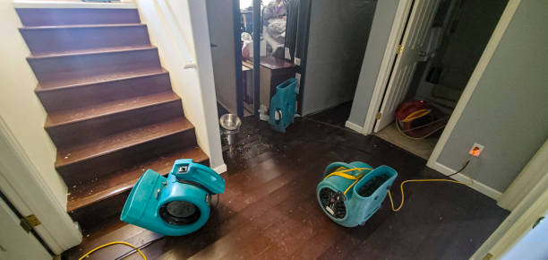 Best Carpet water damage restoration  in West Newton, PA