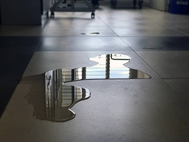 Best 24-hour water damage restoration  in West Newton, PA