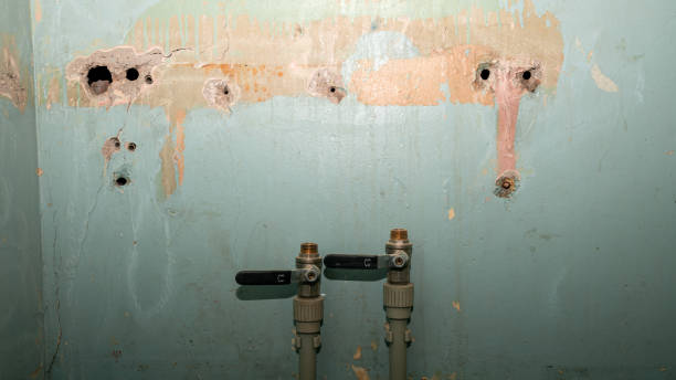 Best Ceiling water damage repair  in West Newton, PA