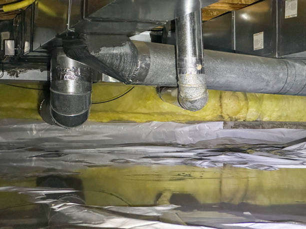 Best Flood damage cleanup  in West Newton, PA