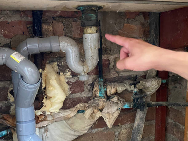 Best Fire Damage Restoration  in West Newton, PA