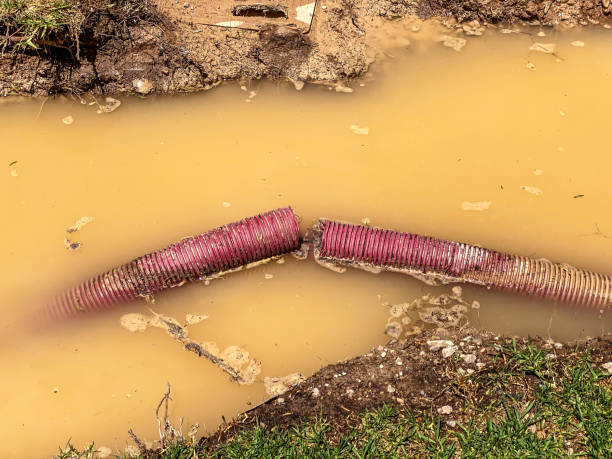Best 24/7 water damage repair  in West Newton, PA